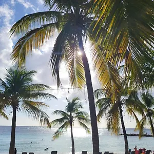 https://the-reef-28-blue-bay-curacao.comcaribbean.com